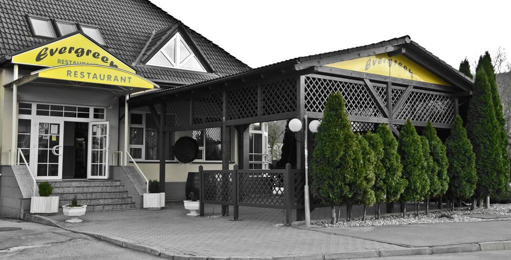 Penzion Evergreen Тренчин Экстерьер фото